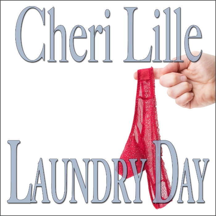 Laundry Day a Short & Sweet Romantic Encounter Audiobook