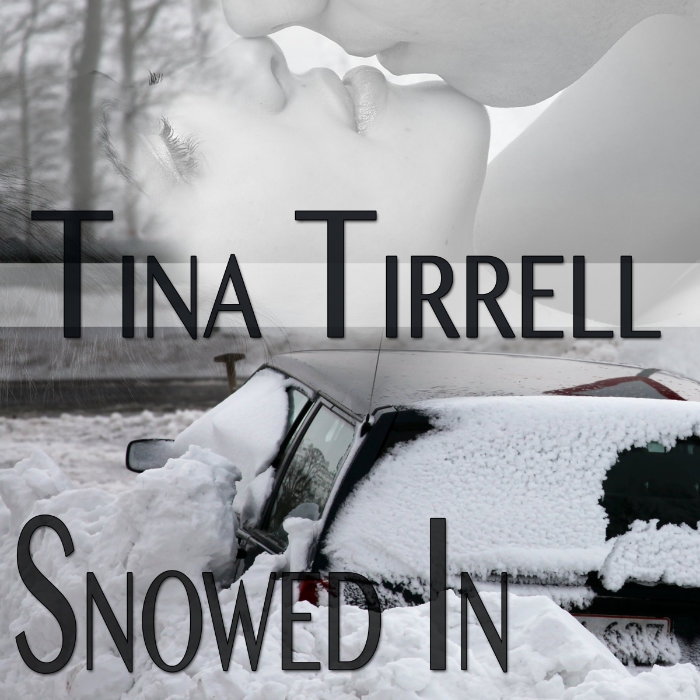 Snowed In a Confined Space, Taboo MILF Fantasy Audiobook
